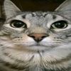 catwz12