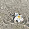 humans_843