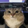 bratishka_0911