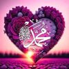 user8104111949052