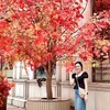 sarahnguyen2002