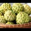 ابوعقرب