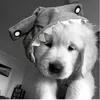 thuyduong_195