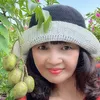 tieu.phuong.lam
