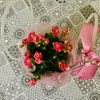 yasemin84420