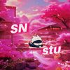 snstu21