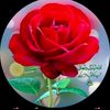 zaen7684