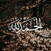 yfcvbkln43