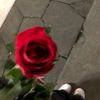 rahaf.al40
