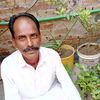 shokathayat939