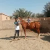 محمد ابراهيم الصالح