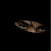 عــبـــ؟ـــود مــا غــيــرو 👤