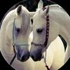 saer11111111