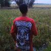 all_yanzz08