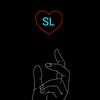 ls4511