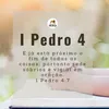 ceicaferreira