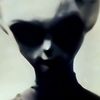 THE DISCLOSURE FILES