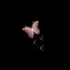 butterfly_mz3