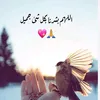 momuen55