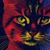 Catsky Designs