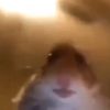 pickle_god6