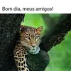 sandra.arruda61