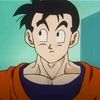 unofficialofficialgohan
