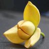 laingsereyputhika.4