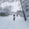 rusikk_v_potoke