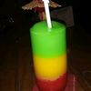 panziee1