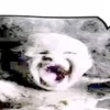 eve_ram0