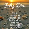 cristian.mora37