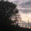 natalialp62