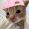 _thocutidagiuu_19