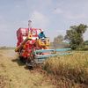 somchai25447