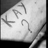 evankate17657