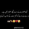 janbutt353
