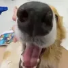 ipipip_1