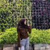 ່intan_