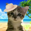 wholovesunny