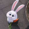 jyys8_