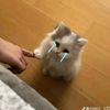 prilya_5