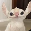 freeterdagret
