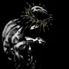 v.csmpriv