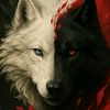 quba_751