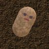 salllll058