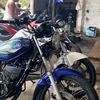 darzz135cc
