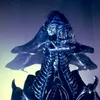 xenoqueen11