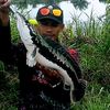 HRPfishing