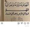 user446090631333